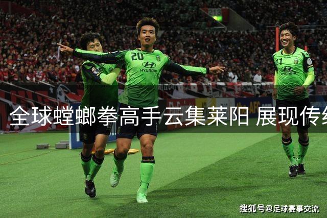 全球螳螂拳高手云集莱阳 展现传统武术魅力