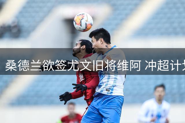 桑德兰欲签尤文旧将维阿 冲超计划再添强援