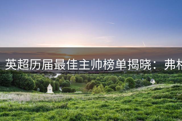 英超历届最佳主帅榜单揭晓：弗格森居首 安切洛蒂垫底入围
